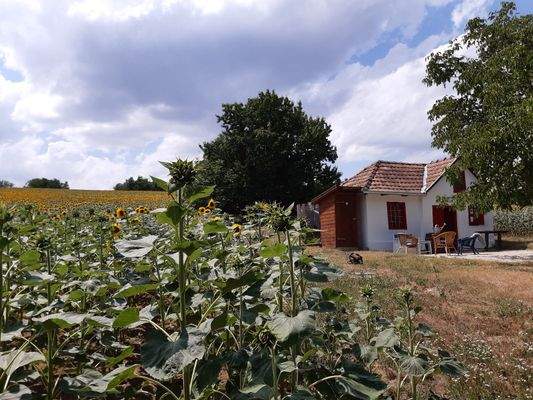 WhatsApp Image 2025-10-22 at 14.11.00 (1).jpeg