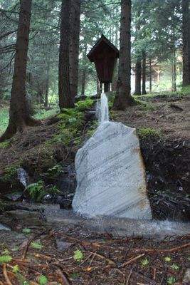539, Foto Stein mit Wasser