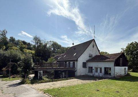 Lobbach Häuser, Lobbach Haus kaufen