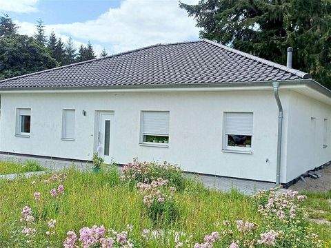 Steinhorst Häuser, Steinhorst Haus kaufen