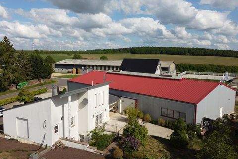 Binsfeld Häuser, Binsfeld Haus kaufen