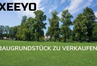 Bild Grundstück.jpg