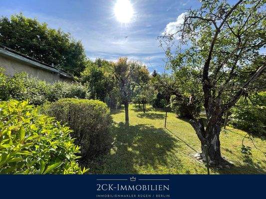 Albrecht-Dürer 22 011