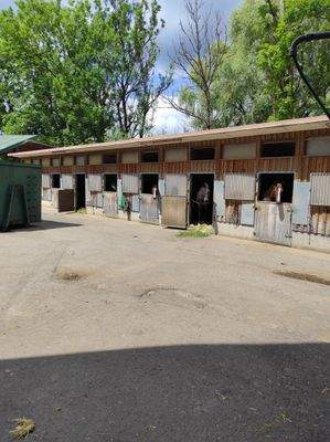 Außenansicht separater Pferdestall (10 Boxen)