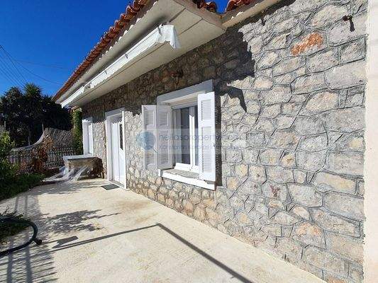 img_232d3fc4-3f27-40e4-bc2e-f10e61113699