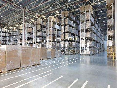 Hamburg Halle, Hamburg Hallenfläche