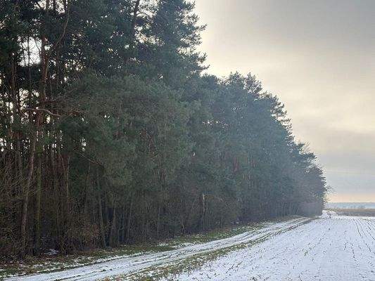 Hesterberg1_Flur17_Flstk15