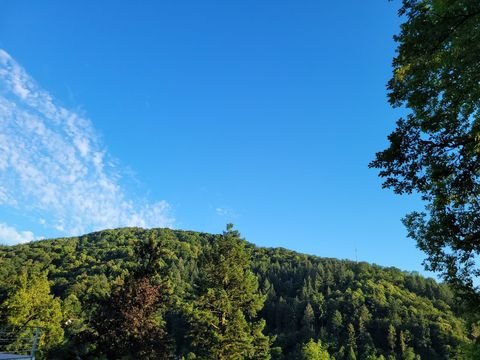 Lug bei Annweiler am Trifels Häuser, Lug bei Annweiler am Trifels Haus kaufen