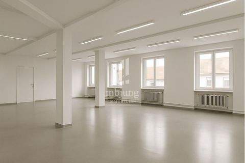 Homburg Halle, Homburg Hallenfläche