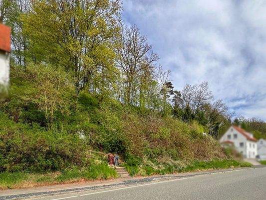 Baugrundstück in Hanglage Straßenansicht