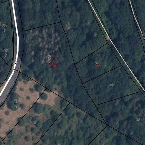 Hochstetten-Dhaun Bauernhöfe, Landwirtschaft, Hochstetten-Dhaun Forstwirtschaft