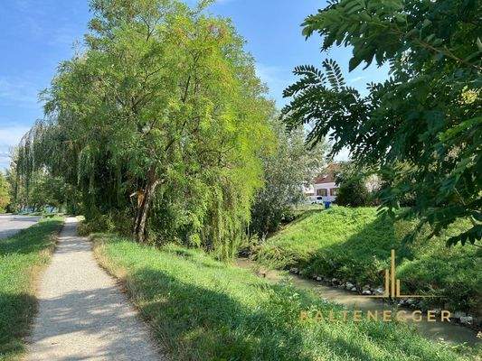 Üppiges Grün neben Haus - verkehrsberuhigte Radstraße bzw. Sackgasse
