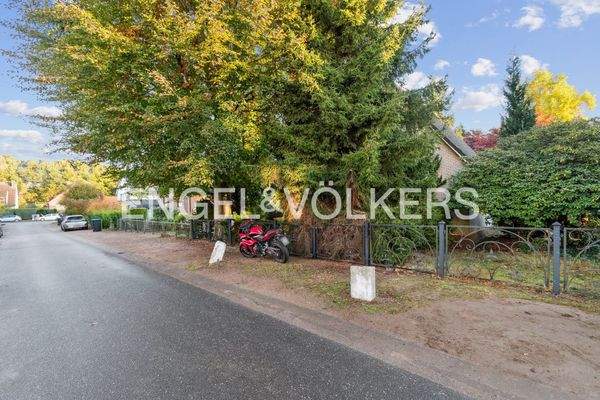 Blick auf den derzeitigen Bestand