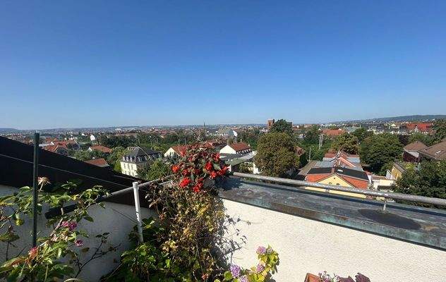 Dachterrassenblick (3)