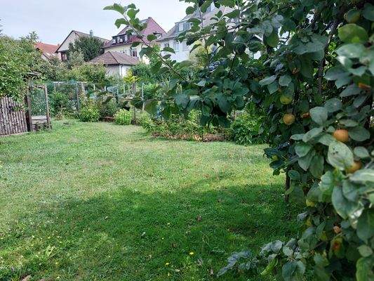 Sicht aufs Grundstück,.jpg