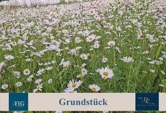 Grundstück
