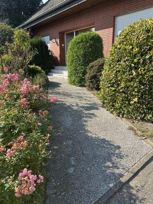 IMG_7355 - Kopie - Kopie.jpeg