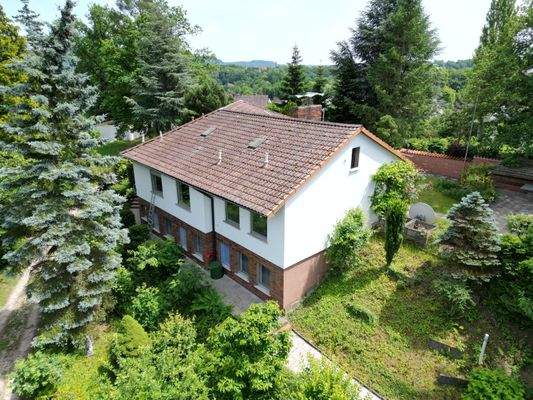 Herrlich eingewachsen