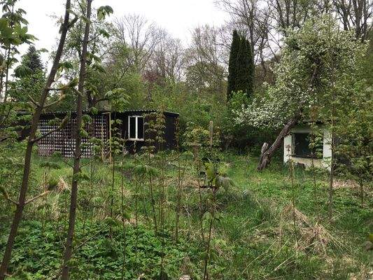 Blick im Grundstück links