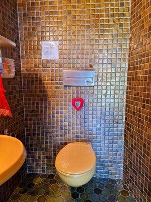 WC mit integrierter Spülung