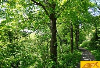 Werden Sie Waldbesitzer!