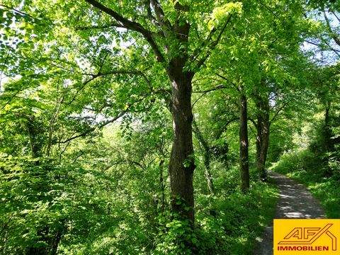 Arnsberg Grundstücke, Arnsberg Grundstück kaufen