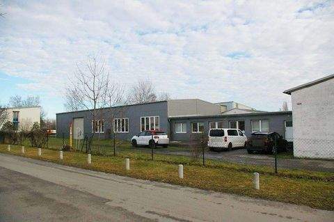 Bautzen Halle, Bautzen Hallenfläche