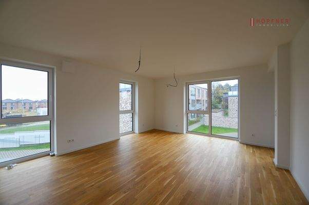 offene Wohnküche Blick 1