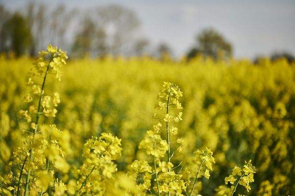 Impressionen der Umgebung