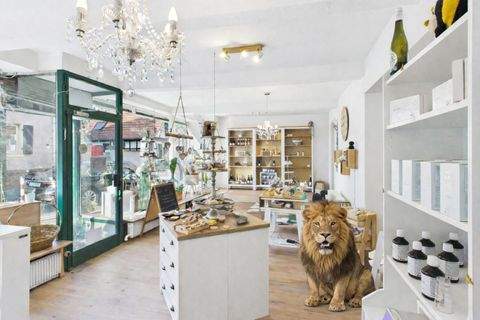 Seeheim-Jugenheim / Seeheim Ladenlokale, Ladenflächen 