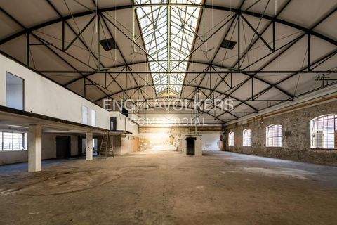 Berlin Halle, Berlin Hallenfläche