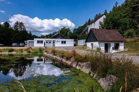Beihingen Bauernhöfe, Landwirtschaft, Beihingen Forstwirtschaft