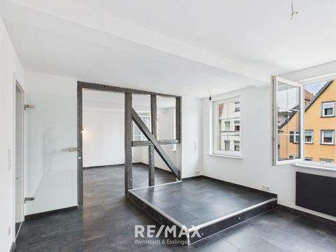 Göppingen Wohnungen, Göppingen Wohnung mieten