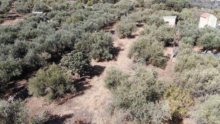 Kreta, Neo Chorio: Charmantes Baugrundstück mit Olivenbäumen und Panoramablick im Apokoronas zu verkaufen