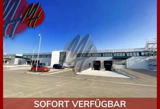 INFOS UNTER: 06171-586000