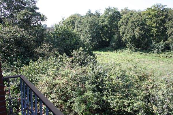 Blick aus Wohnzimmer DG