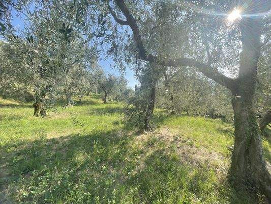 IMG_9639 - 1K JPEG.jpg