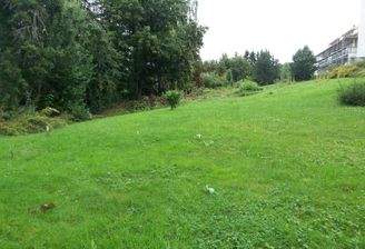 Waldstr. Grundstück BD (2)