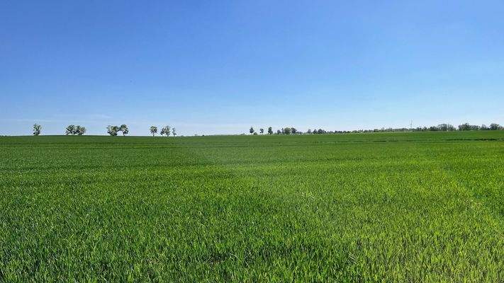 Blick hinter dem Haus