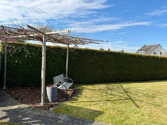 Garten (Dachplatane)
