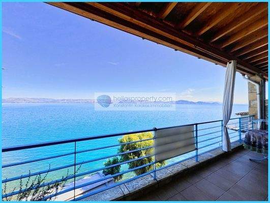 d1d2a16a6de24b70b5fbdf9d77a3567f-original