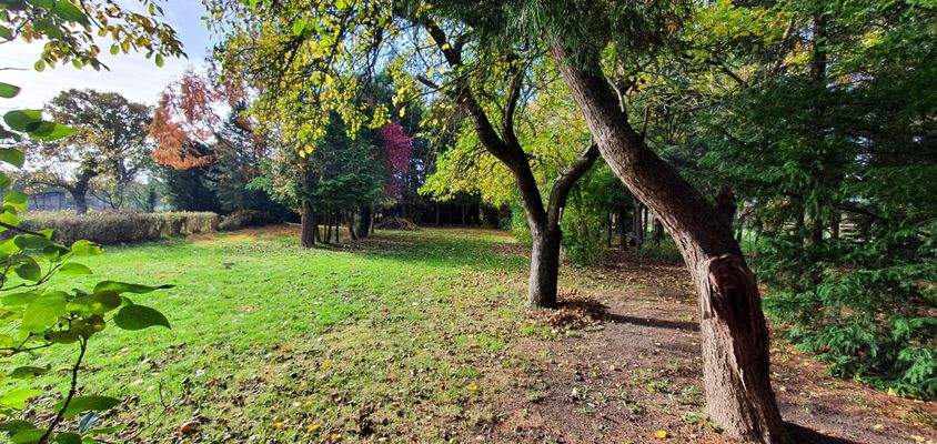 Ansichten - Grundstück - Wald 