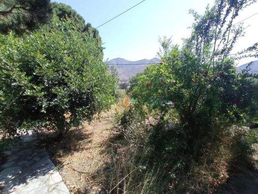 Kreta, Neapoli: Großes Steinhaus mit unvollendetem Gästehaus, Olivenhain und Garten zu verkaufen