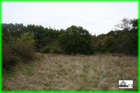 Mühlacker Bauernhöfe, Landwirtschaft, Mühlacker Forstwirtschaft