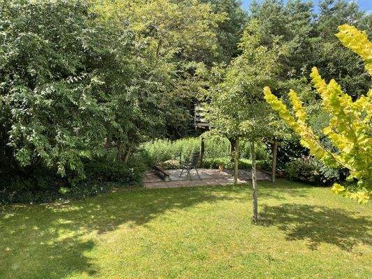 Blick in den Garten