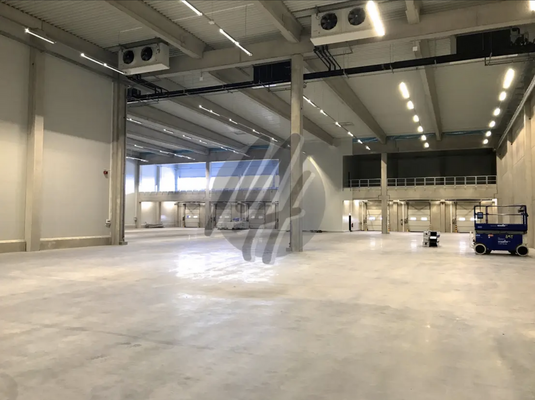 INFOS UNTER: 06171-586000