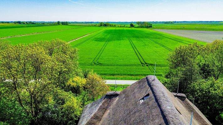 Dach neu gedeckt - Aussicht