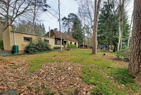 Buchholz in der Nordheide Grundstücke, Buchholz in der Nordheide Grundstück kaufen