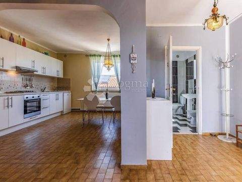 Kastanjer - Gregovica Wohnungen, Kastanjer - Gregovica Wohnung mieten