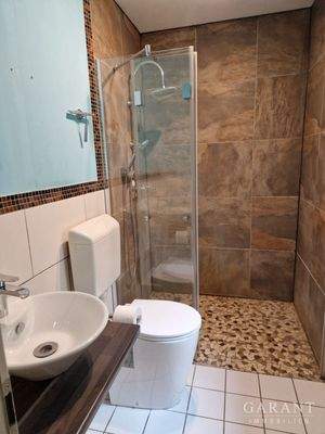 Gäste-WC mit Dusche (EG)